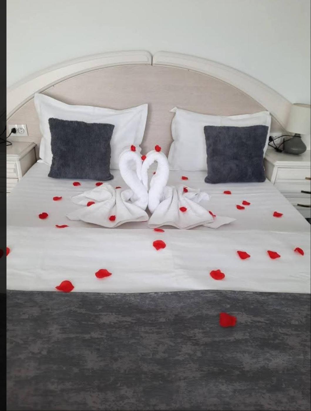 Vila Emma Râșnov Zewnętrze zdjęcie